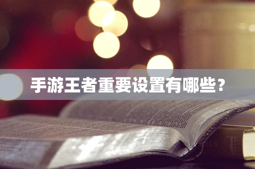 手游王者重要设置有哪些？