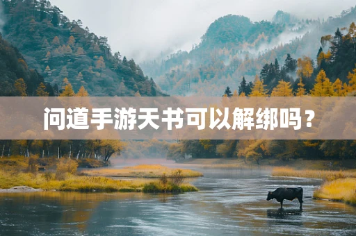 问道手游天书可以解绑吗？