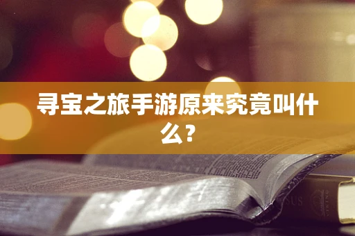 寻宝之旅手游原来究竟叫什么？