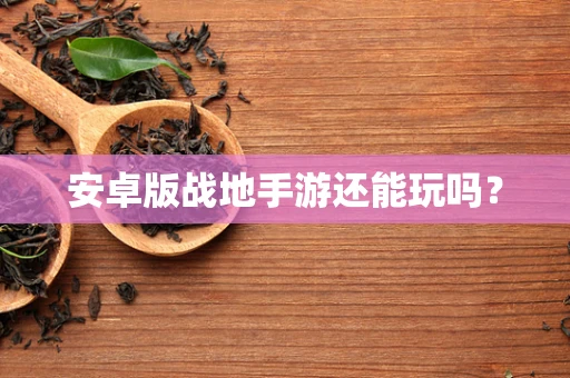 安卓版战地手游还能玩吗？