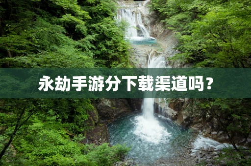 永劫手游分下载渠道吗？