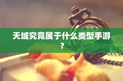 天域究竟属于什么类型手游？