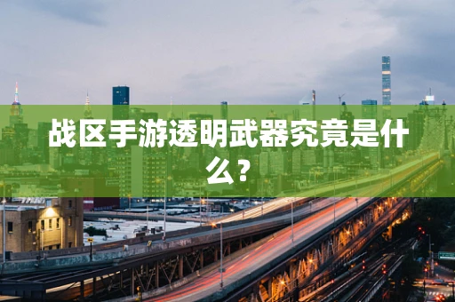 战区手游透明武器究竟是什么？