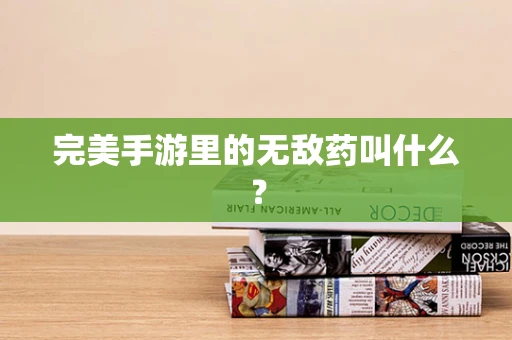 完美手游里的无敌药叫什么？