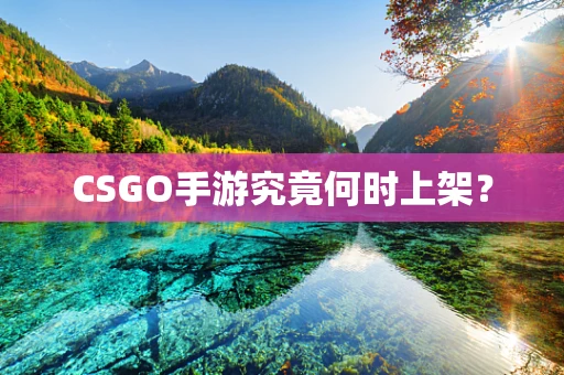 CSGO手游究竟何时上架？