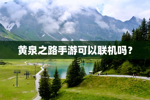 黄泉之路手游可以联机吗？