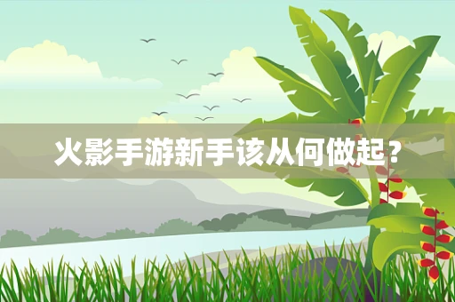 火影手游新手该从何做起？