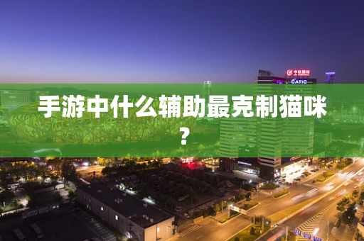 手游中什么辅助最克制猫咪？