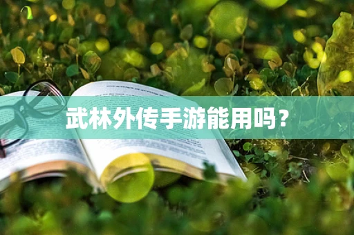 武林外传手游能用吗？