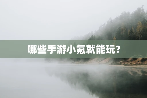哪些手游小氪就能玩？