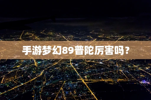 手游梦幻89普陀厉害吗？