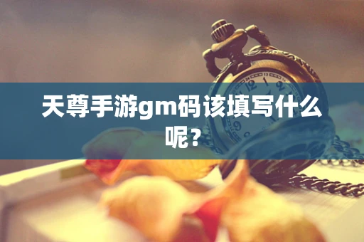天尊手游gm码该填写什么呢？