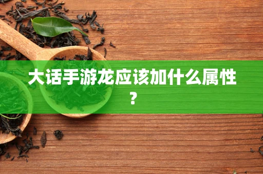 大话手游龙应该加什么属性？