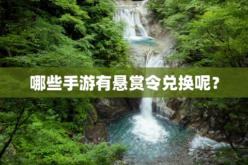 哪些手游有悬赏令兑换呢？