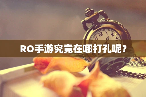RO手游究竟在哪打孔呢？