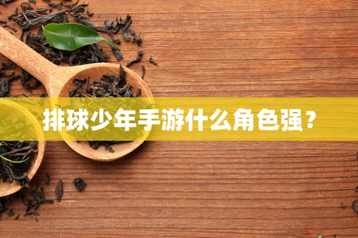 排球少年手游什么角色强？