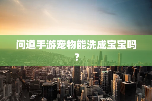 问道手游宠物能洗成宝宝吗？