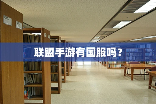 联盟手游有国服吗？