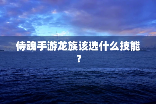 侍魂手游龙族该选什么技能？