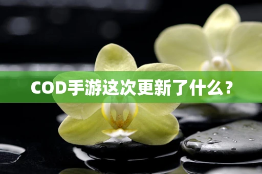 COD手游这次更新了什么？