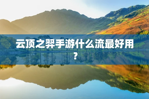 云顶之羿手游什么流最好用？