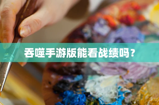 吞噬手游版能看战绩吗？