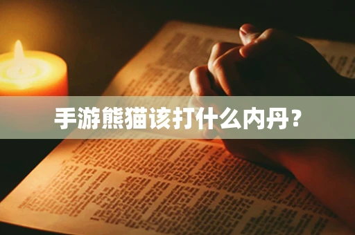 手游熊猫该打什么内丹？