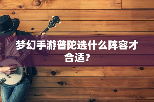 梦幻手游普陀选什么阵容才合适？