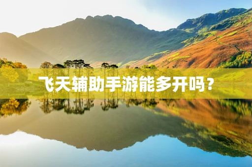 飞天辅助手游能多开吗？