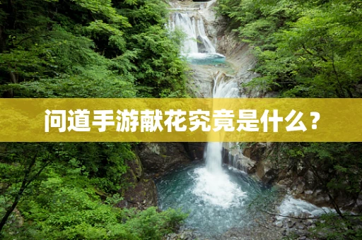 问道手游献花究竟是什么？