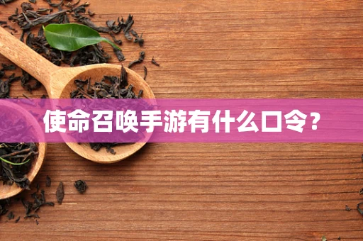使命召唤手游有什么口令？