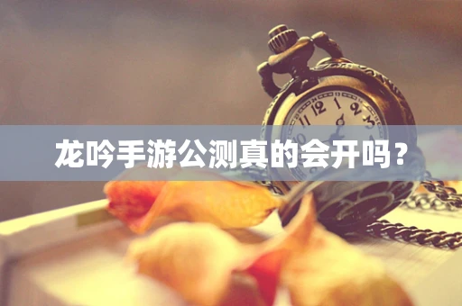龙吟手游公测真的会开吗？