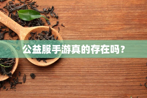 公益服手游真的存在吗？