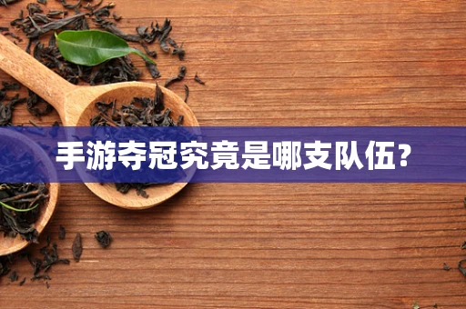 手游夺冠究竟是哪支队伍？