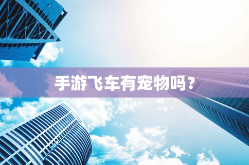 手游飞车有宠物吗？