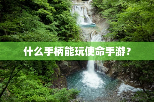 什么手柄能玩使命手游？