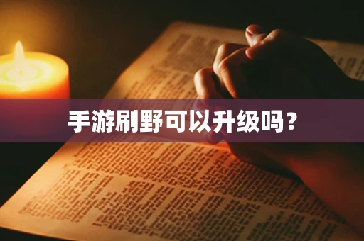 手游刷野可以升级吗？