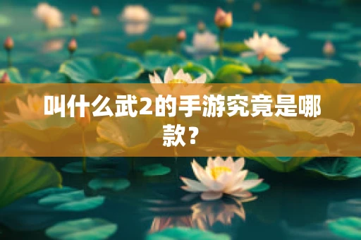 叫什么武2的手游究竟是哪款？