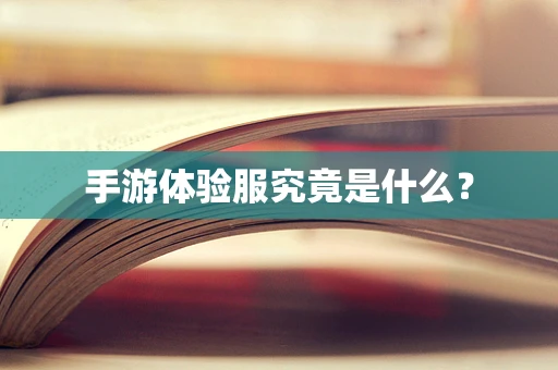 手游体验服究竟是什么？