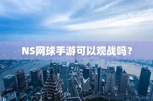 NS网球手游可以观战吗？