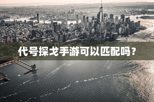 代号探戈手游可以匹配吗？