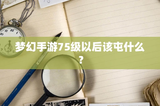 梦幻手游75级以后该屯什么？