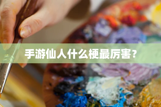 手游仙人什么梗最厉害？
