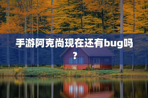 手游阿克尚现在还有bug吗？