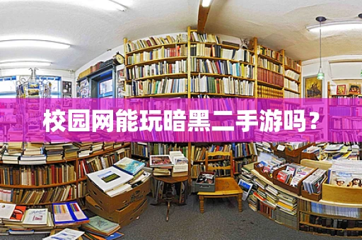 校园网能玩暗黑二手游吗？